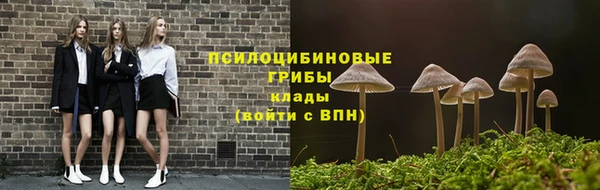 герыч Алексин