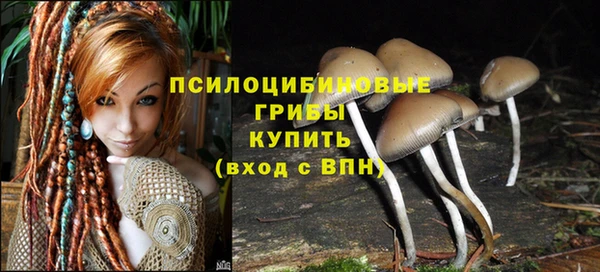 МДПВ Абинск