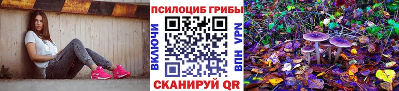 МЕГА ONION  цены   Плавск  Псилоцибиновые грибы Magic Shrooms 